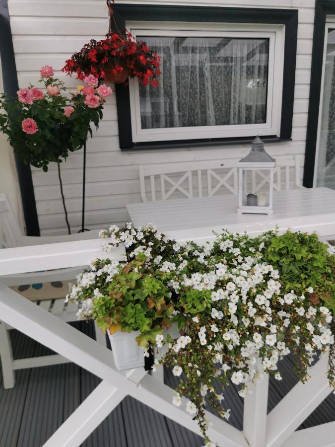 Sapni Villa Kolka Buitenkant foto